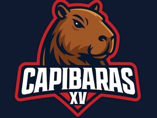 Capibaras XV